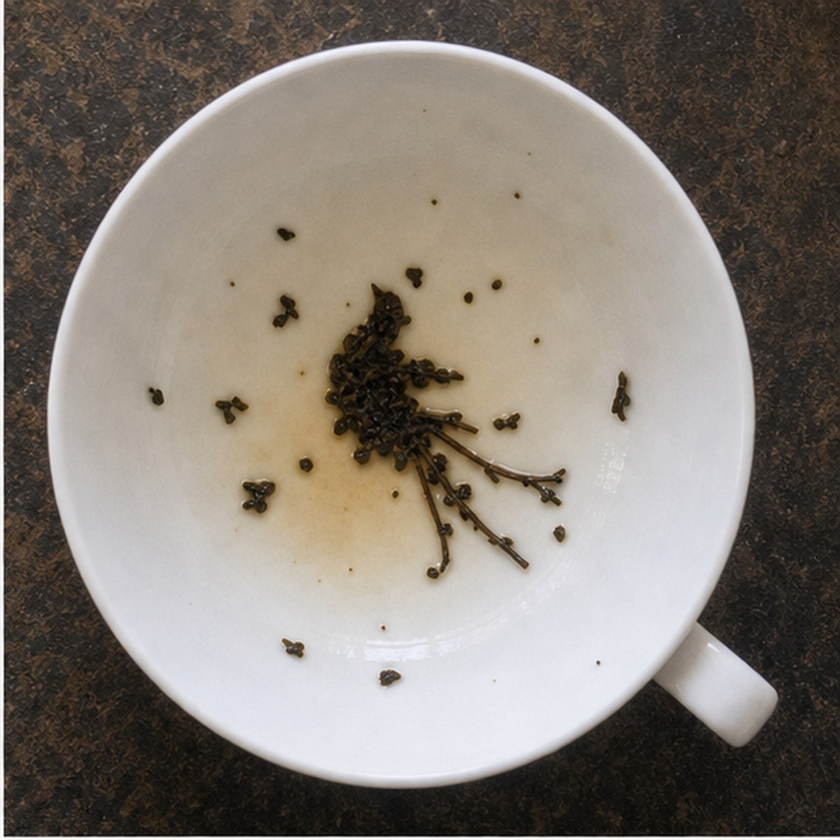 Bird Of Paradise tea leaves cup variation one