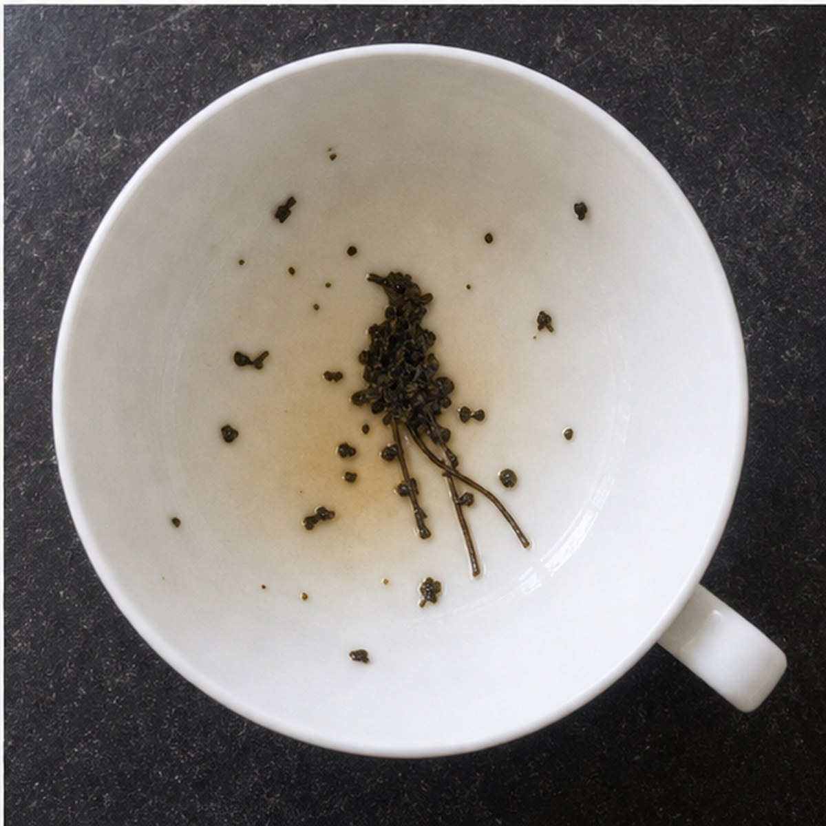 Bird Of Paradise tea leaves cup variation three