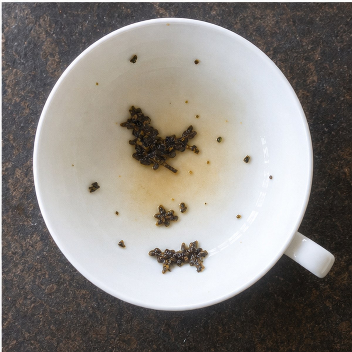Bird tea leaves cup variation three