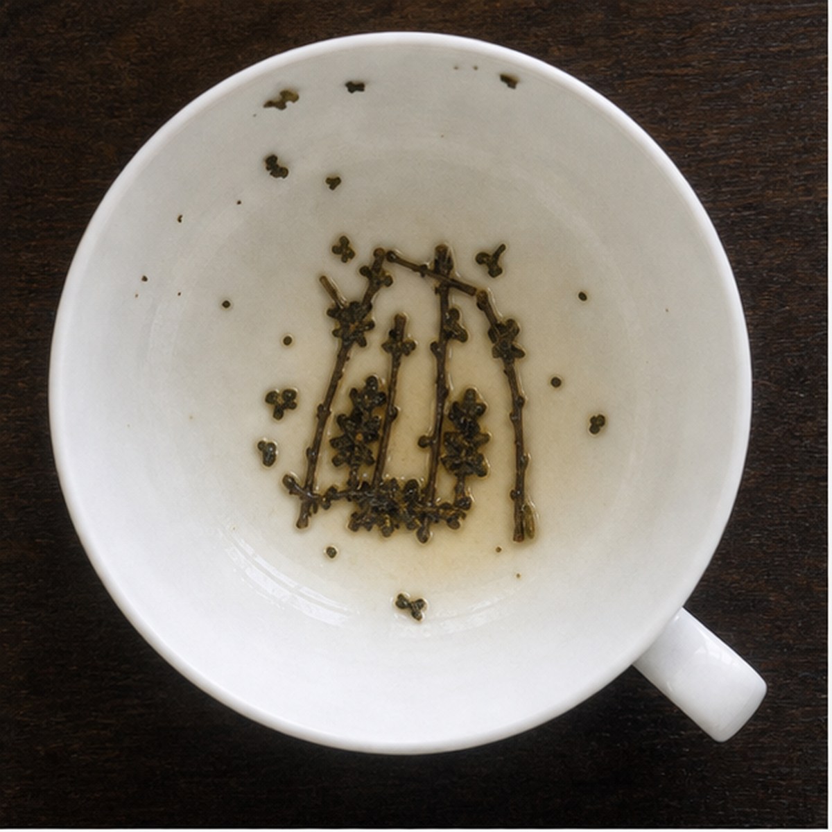 Birds In Cage tea leaf reading cup example