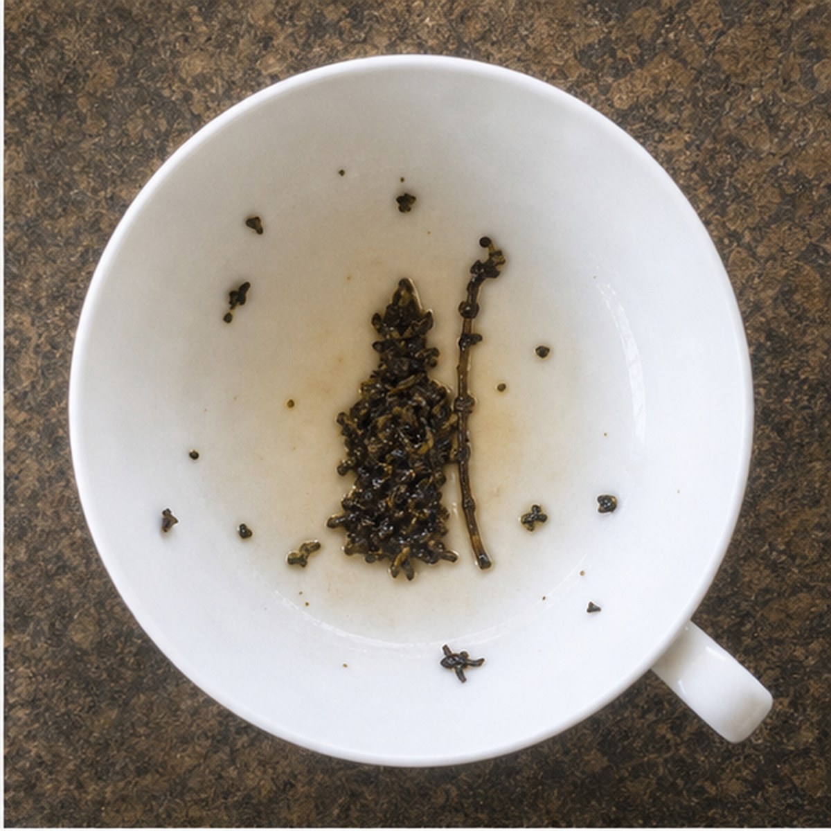 Bishop tea leaves cup variation one