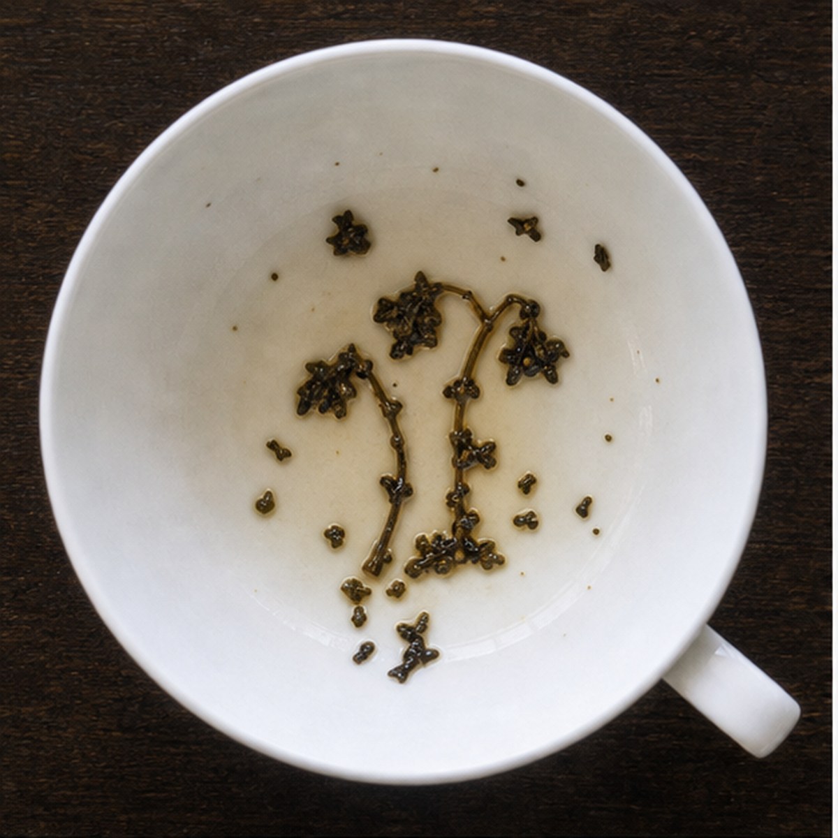 Bluebells tea leaf reading cup example