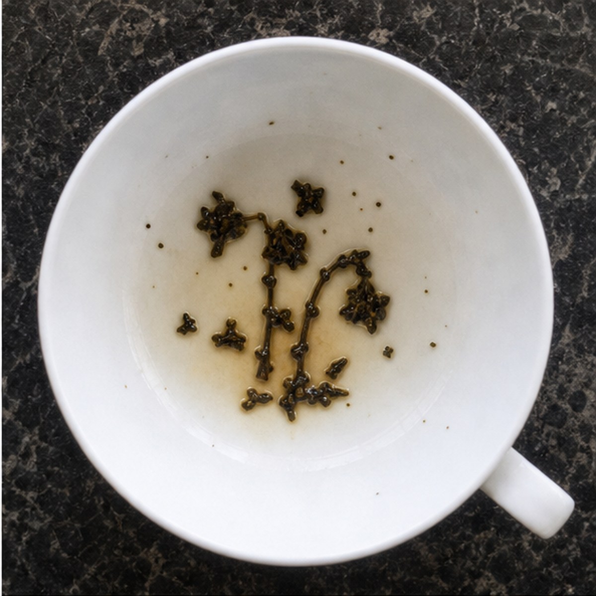 Bluebells tea leaves cup variation one