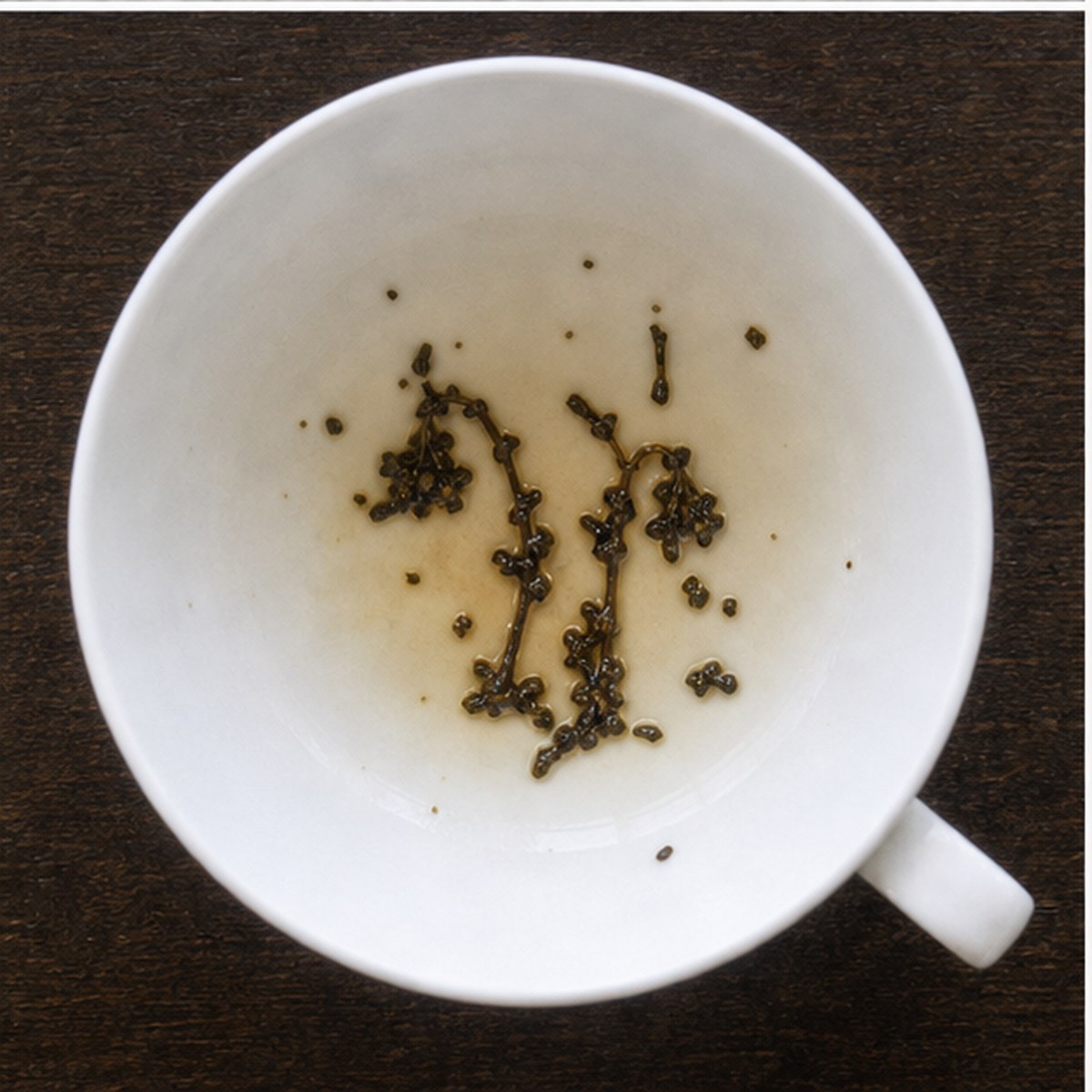 Bluebells tea leaves cup variation two