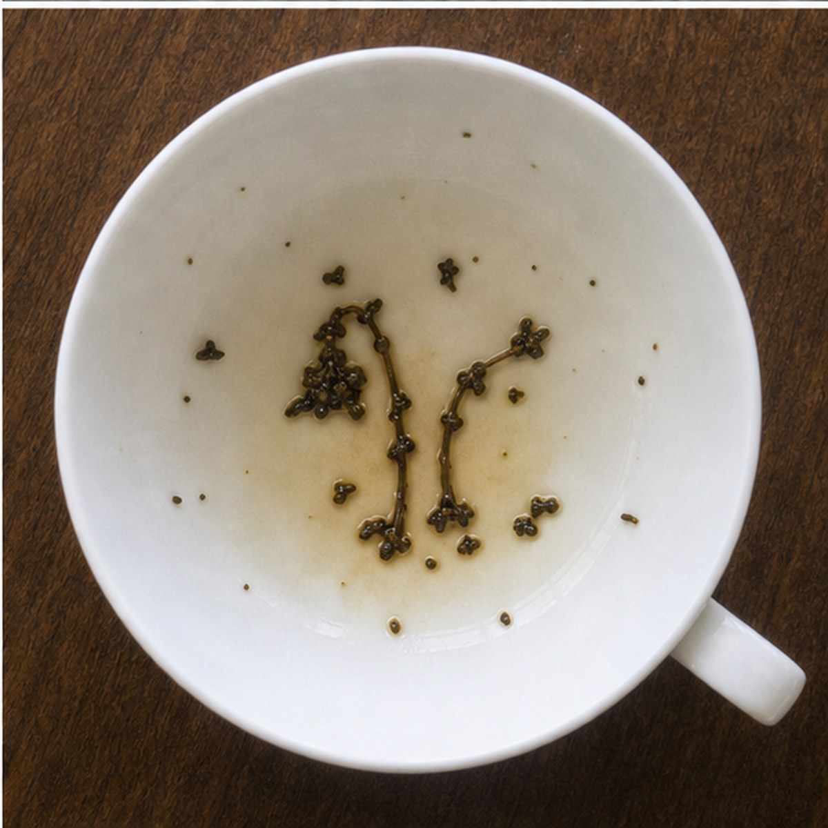 Bluebells tea leaves cup variation three