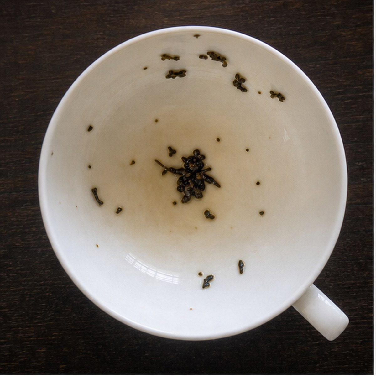 Bluebottle Fly tea leaf reading cup example