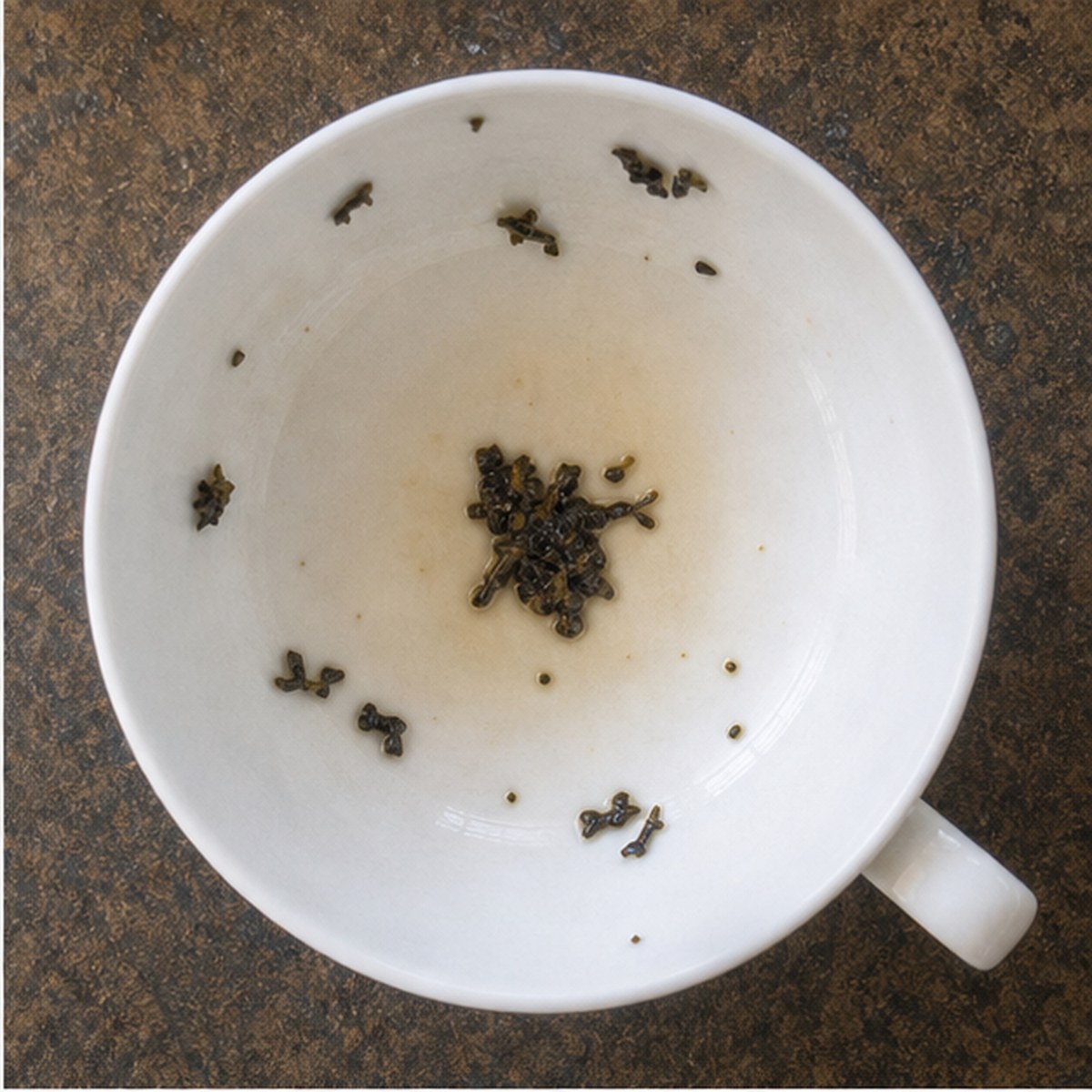 Bluebottle Fly tea leaves cup variation one