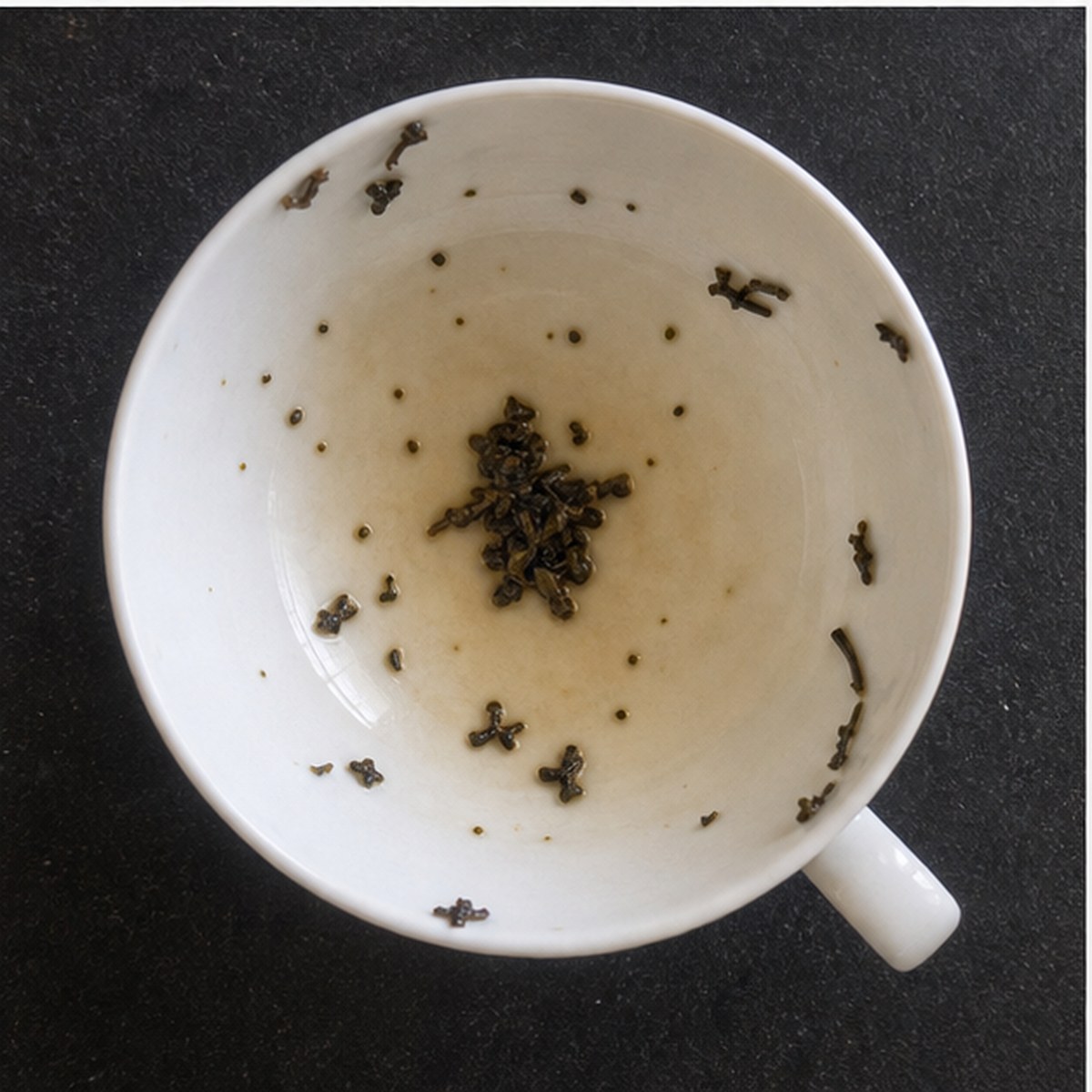 Bluebottle Fly tea leaves cup variation two