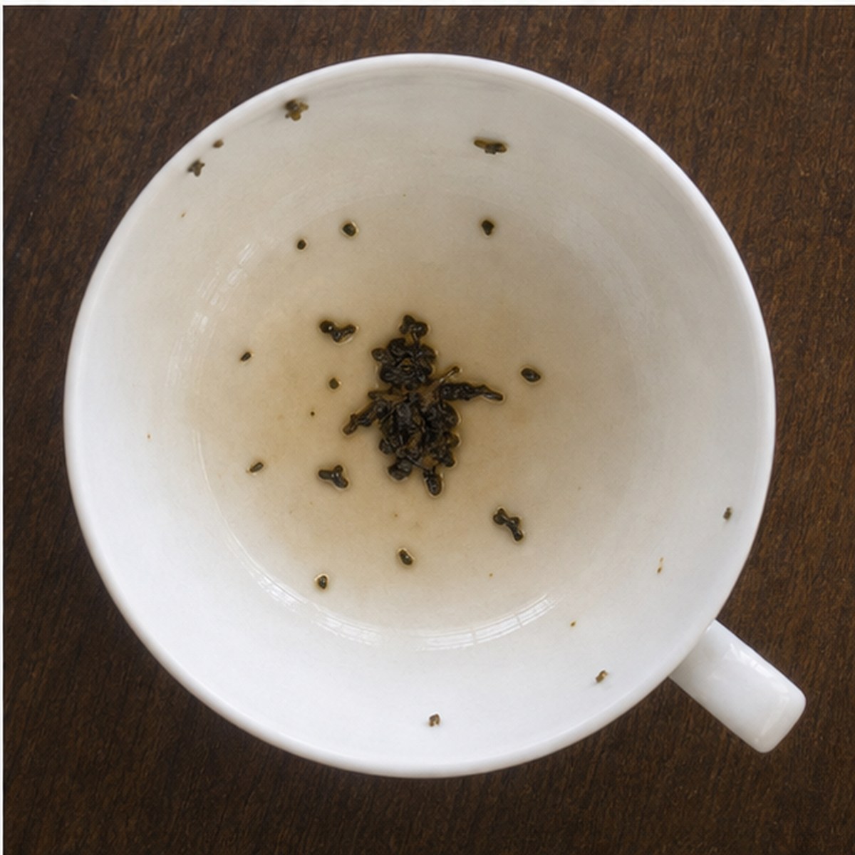 Bluebottle Fly tea leaves cup variation three
