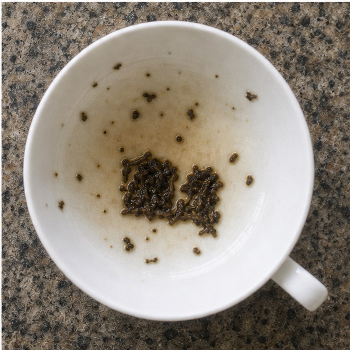 Book tea leaves cup variation three