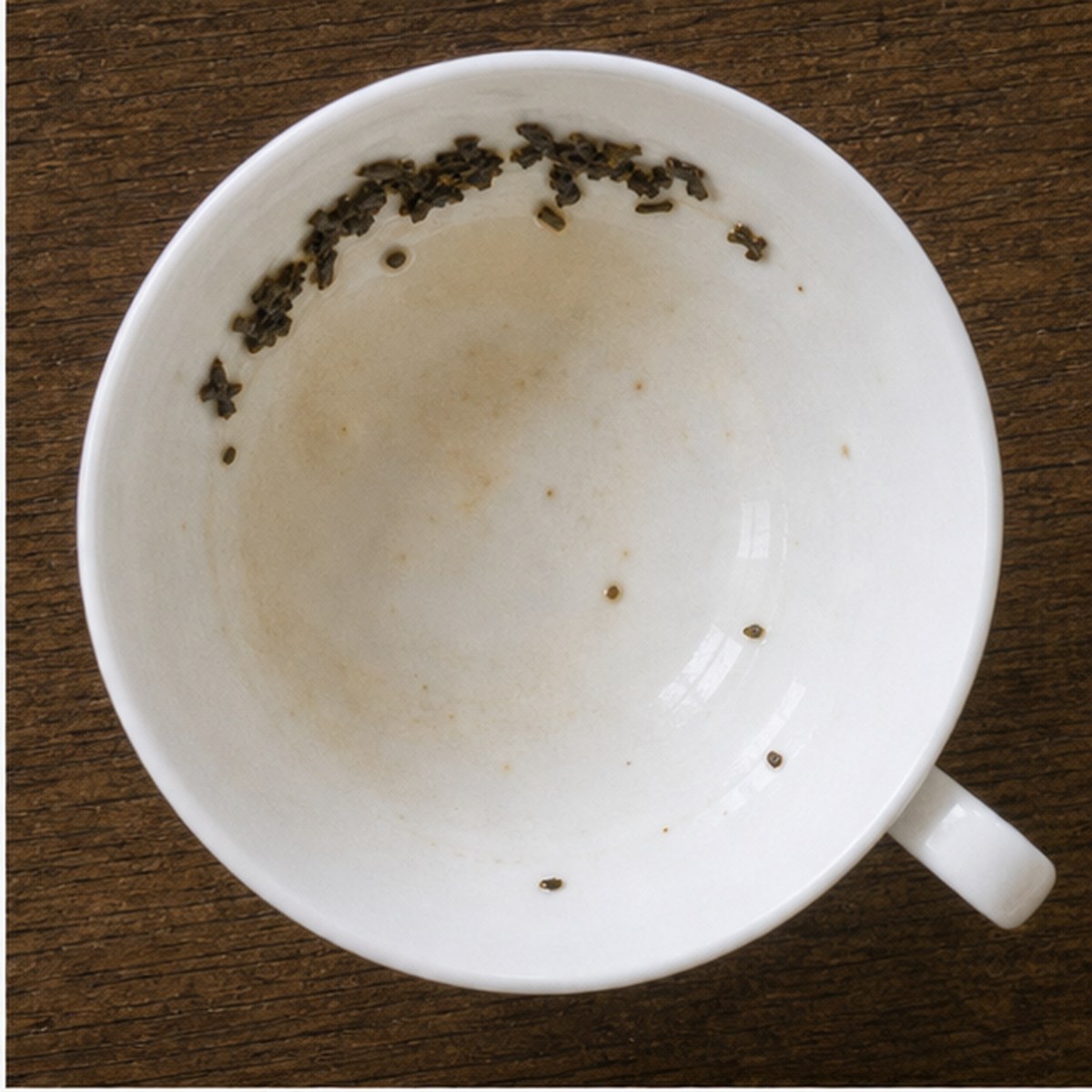 Border tea leaves cup variation one