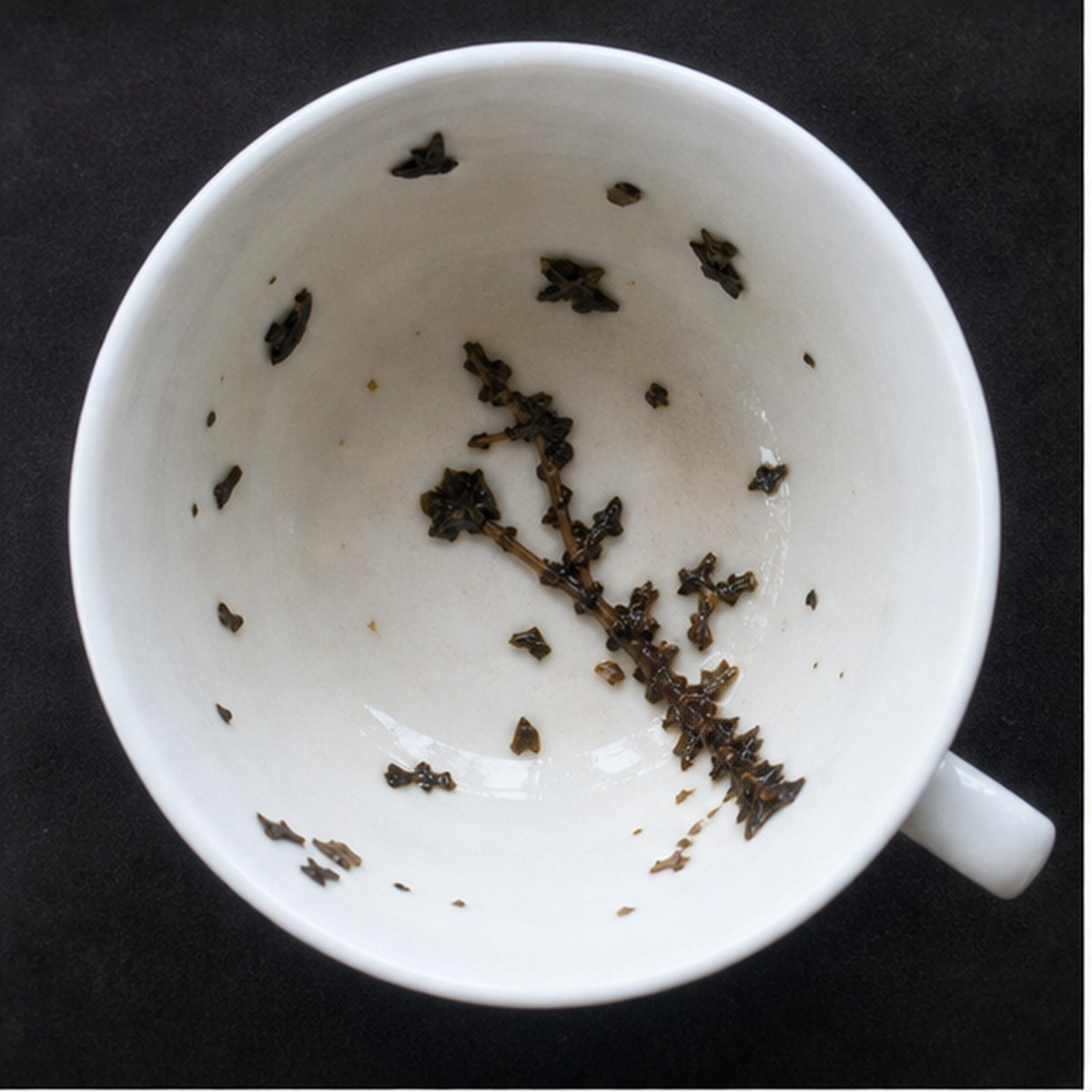 Branch tea leaf reading cup example