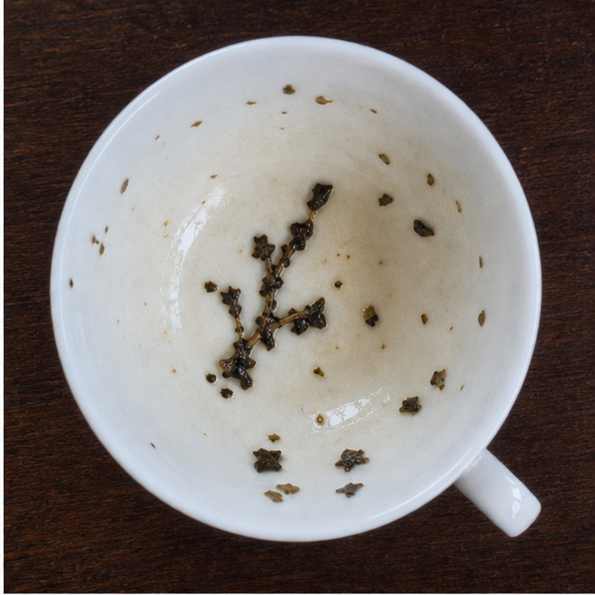 Branch tea leaves cup variation one