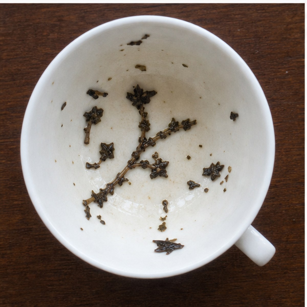Branch tea leaves cup variation two