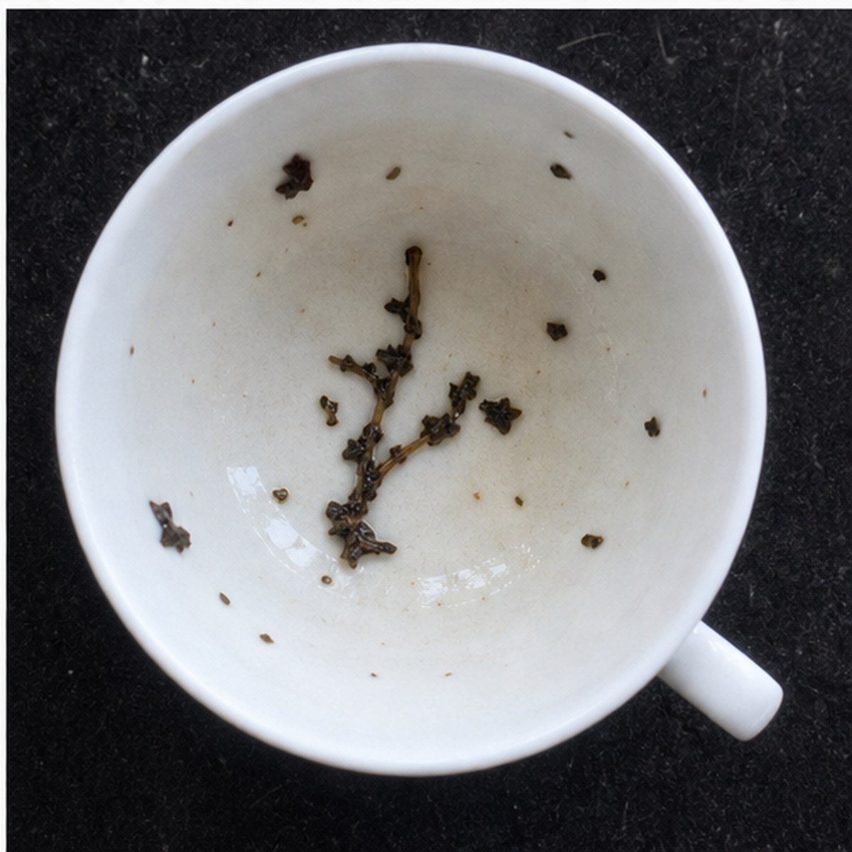 Branch tea leaves cup variation three