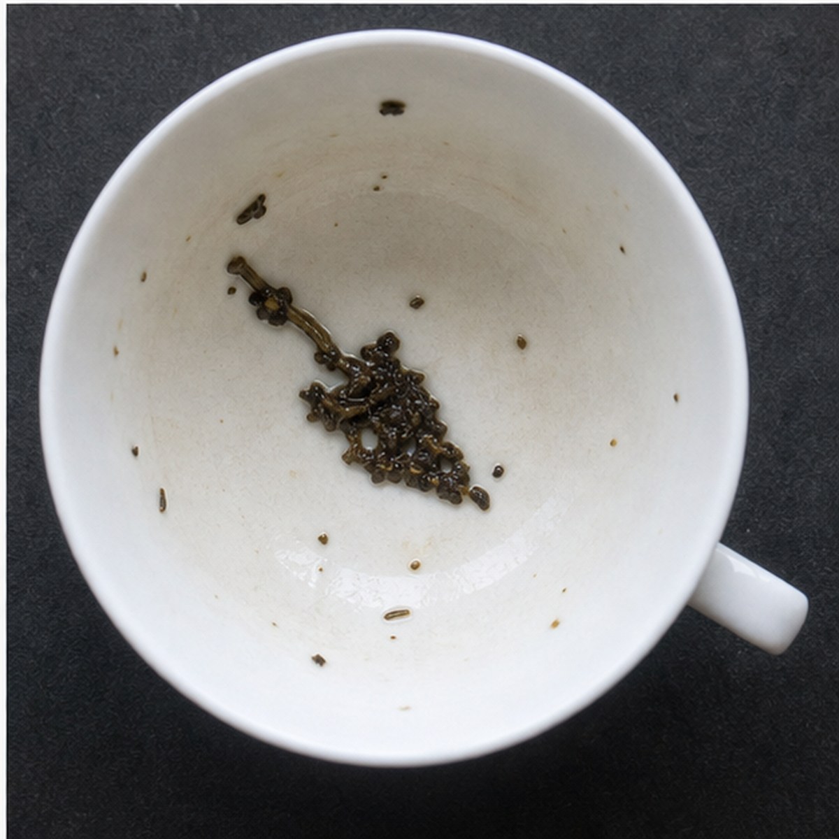Bricklayer'S Trowel tea leaves cup variation three