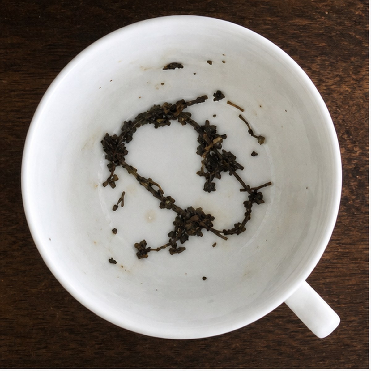 Bridle tea leaf reading cup example
