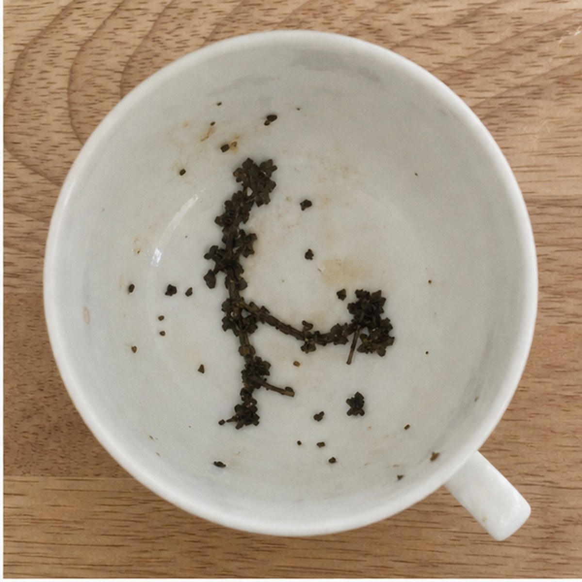 Bridle tea leaves cup variation one