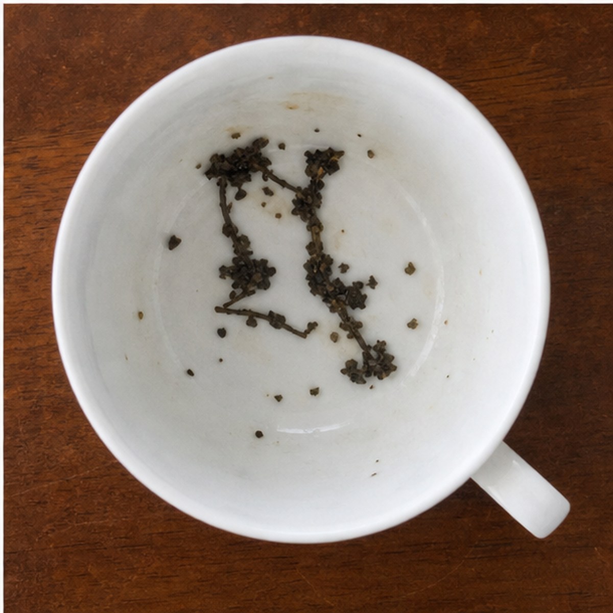 Bridle tea leaves cup variation three