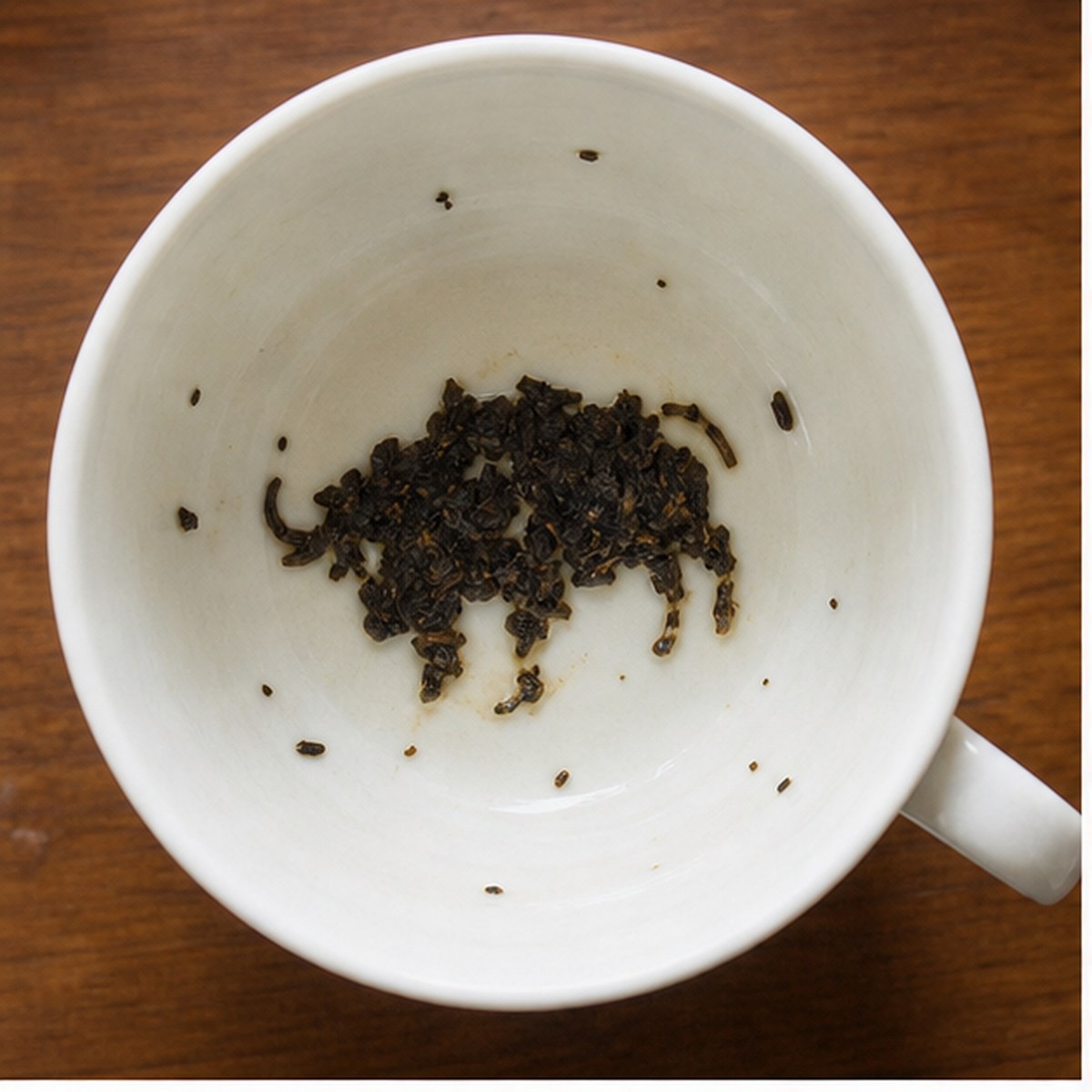 Buffalo tea leaf reading cup example