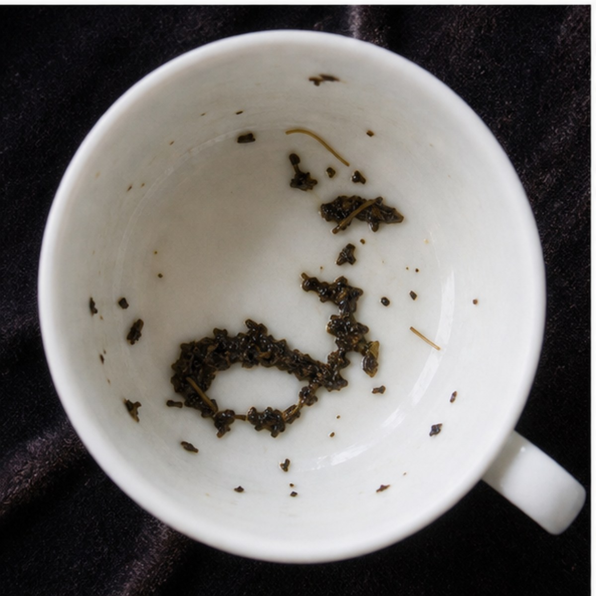 Bugle tea leaves cup variation two