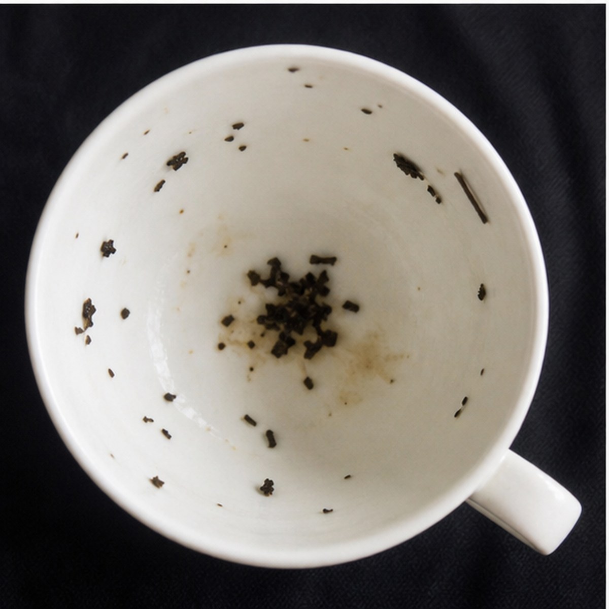 Bumble Bee tea leaves cup variation two