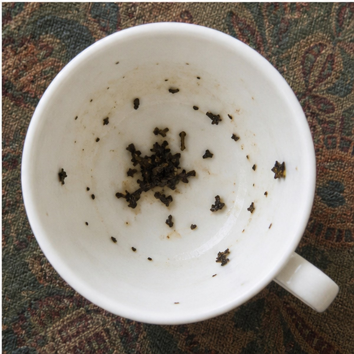 Bumble Bee tea leaves cup variation three