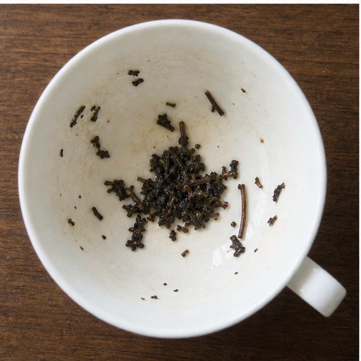 Bush tea leaves cup variation two