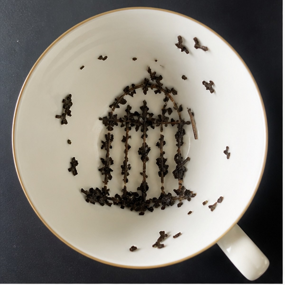 Cage tea leaf reading cup example