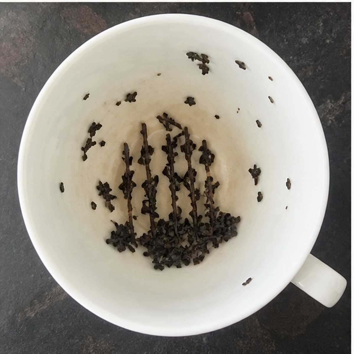 Cage tea leaves cup variation two