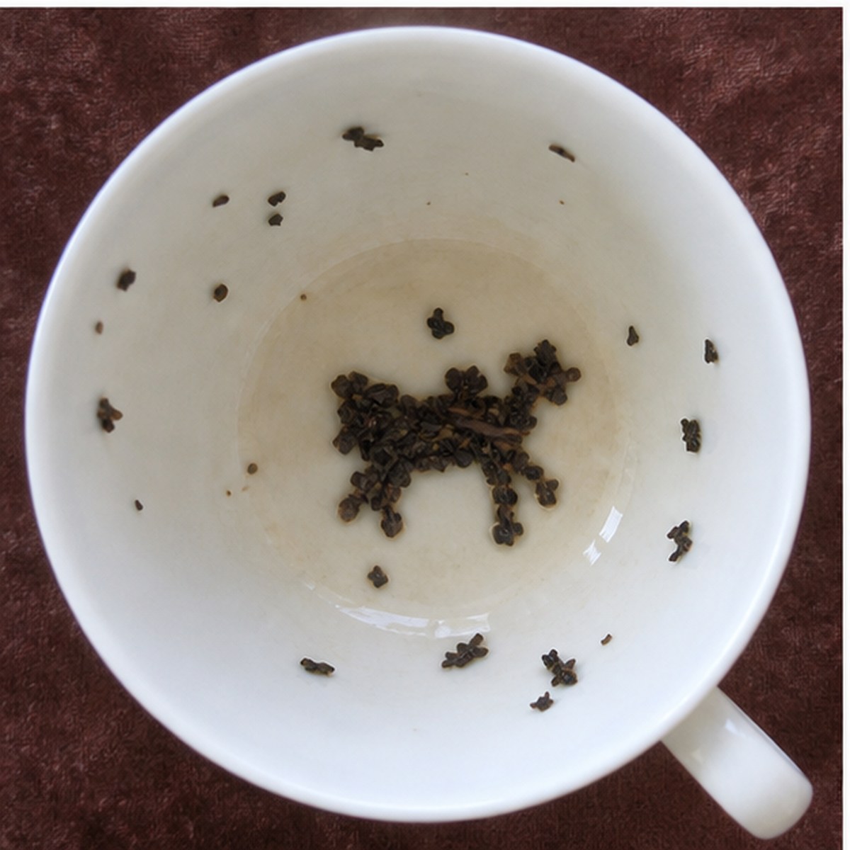 Calf tea leaves cup variation two