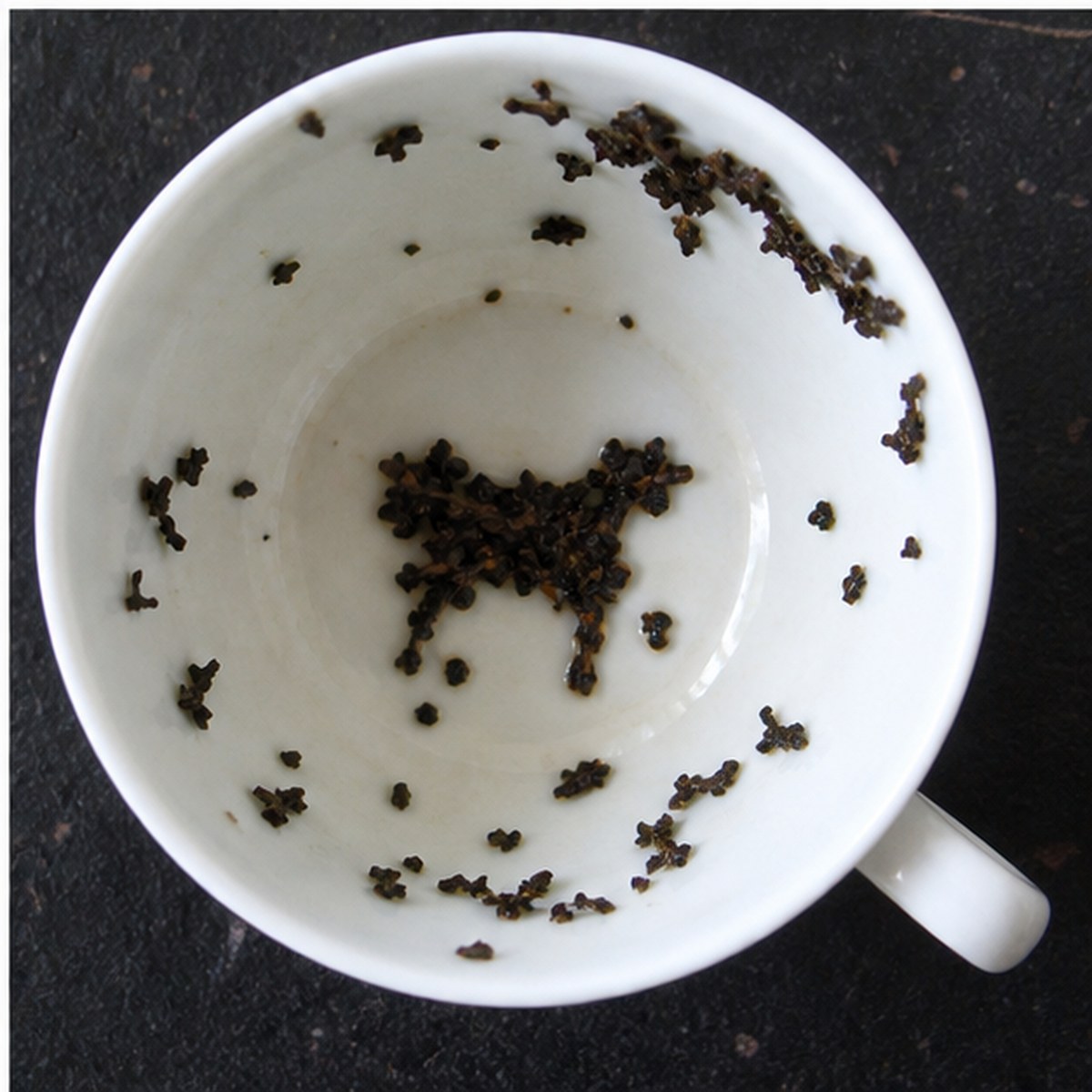 Calf tea leaves cup variation three