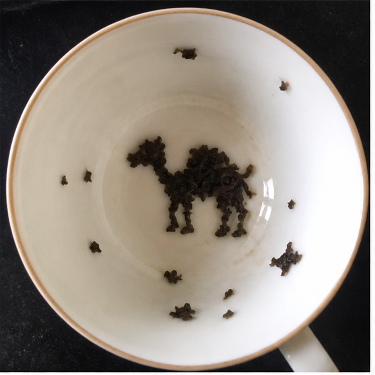 Camel tea leaf reading cup example