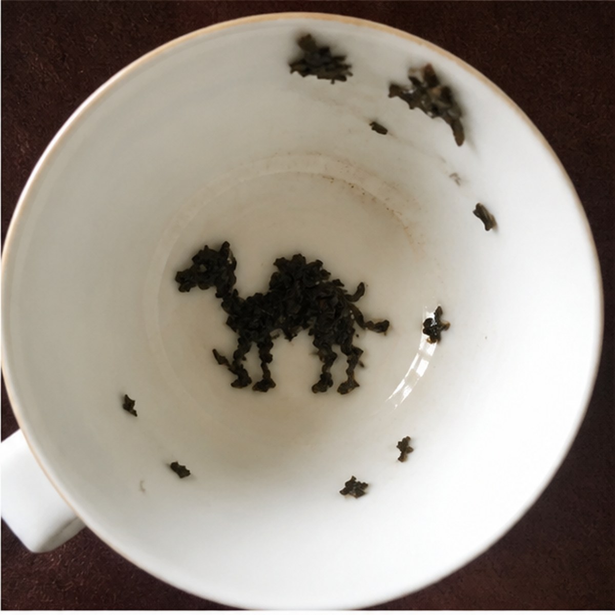 Camel tea leaves cup variation one