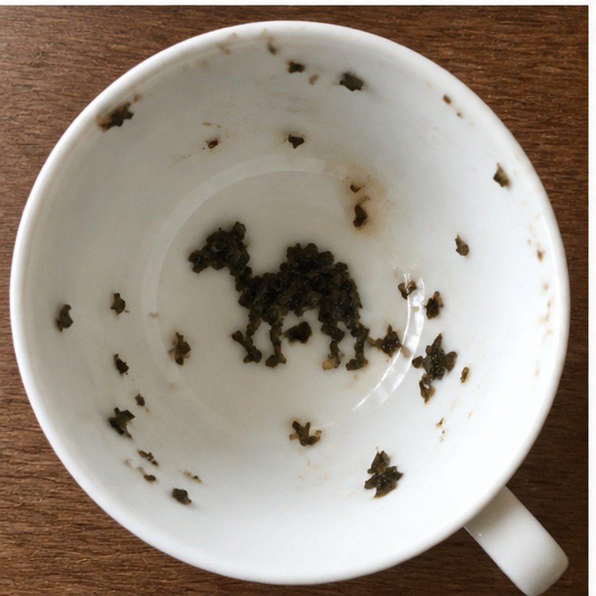 Camel tea leaves cup variation two
