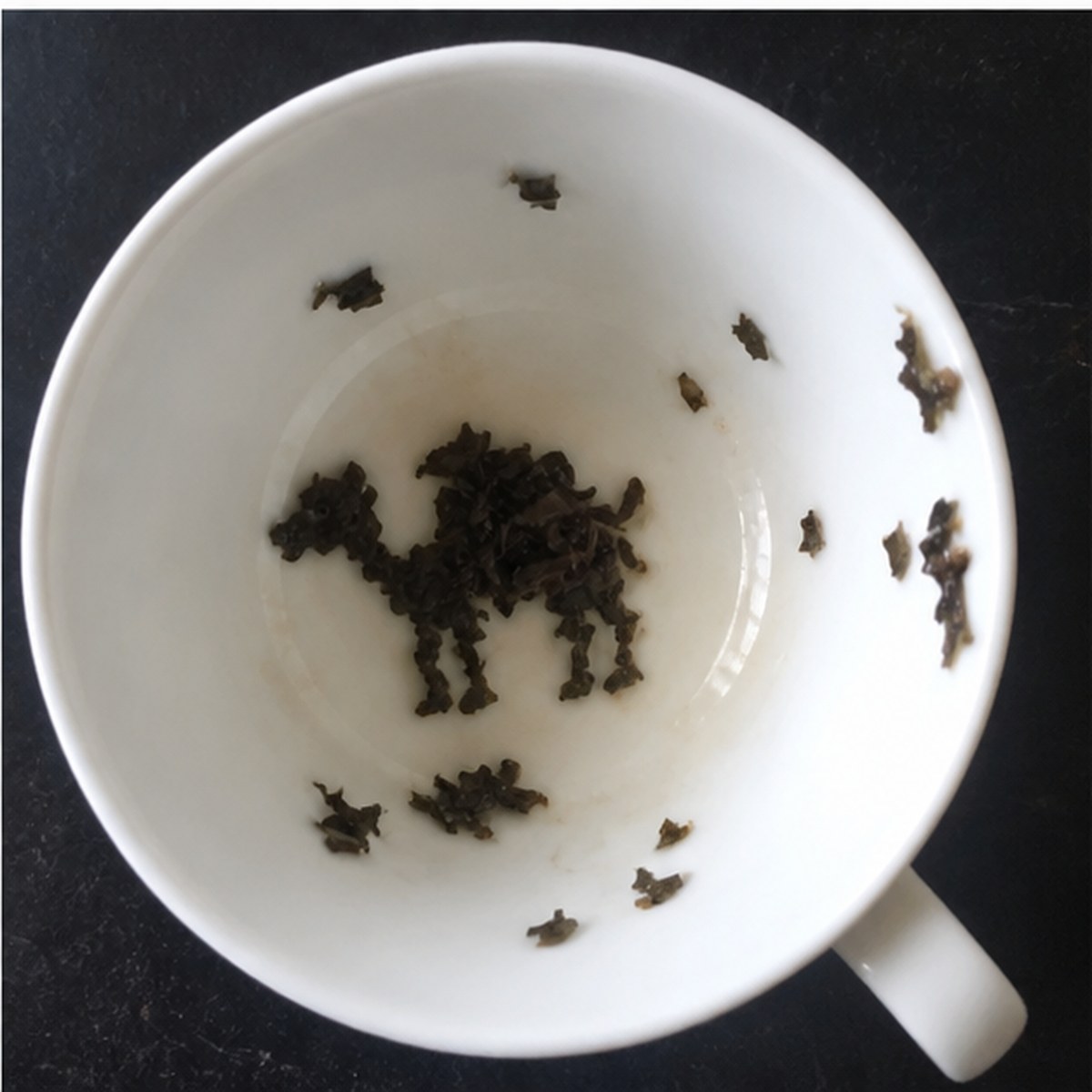 Camel tea leaves cup variation three