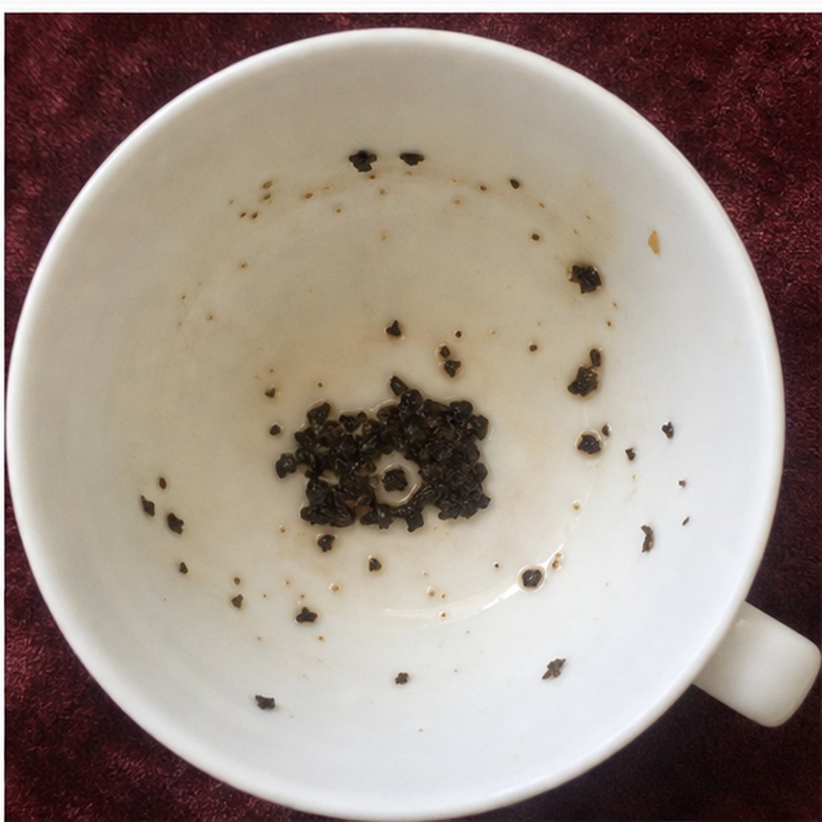 Camera tea leaves cup variation three