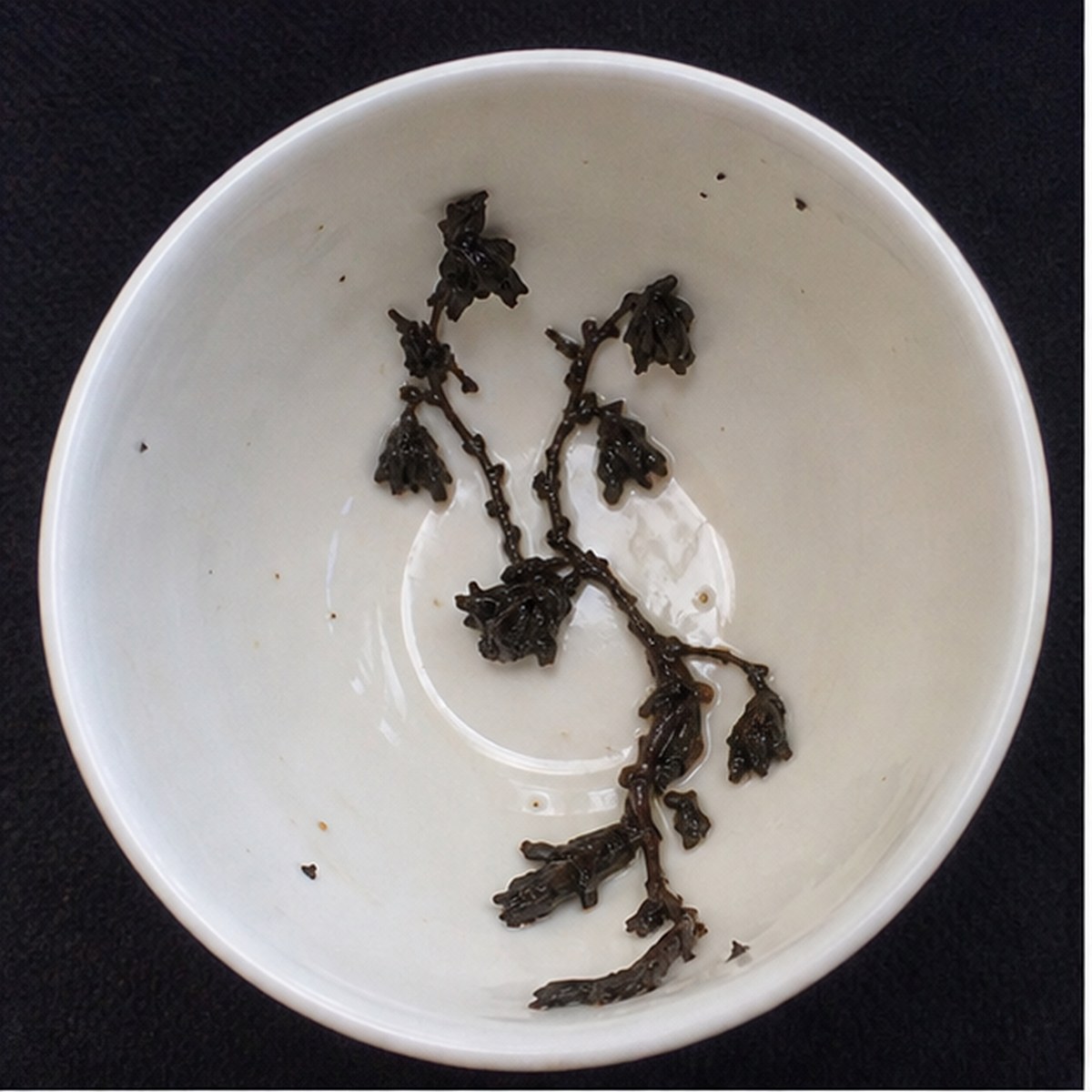 Campanulas tea leaf reading cup example