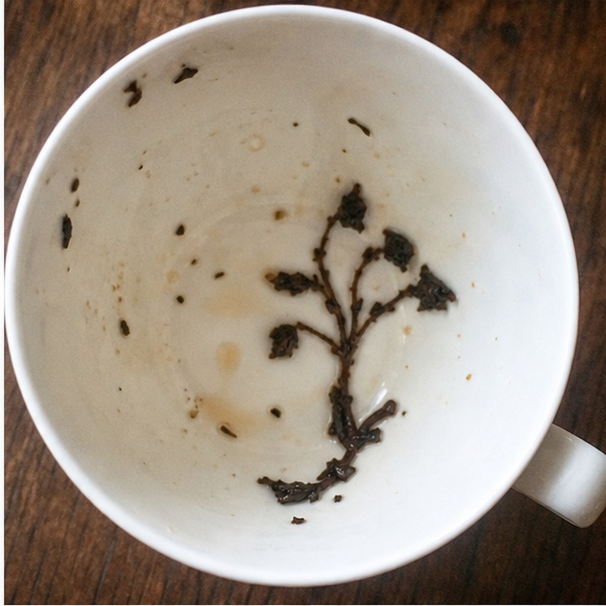 Campanulas tea leaves cup variation one