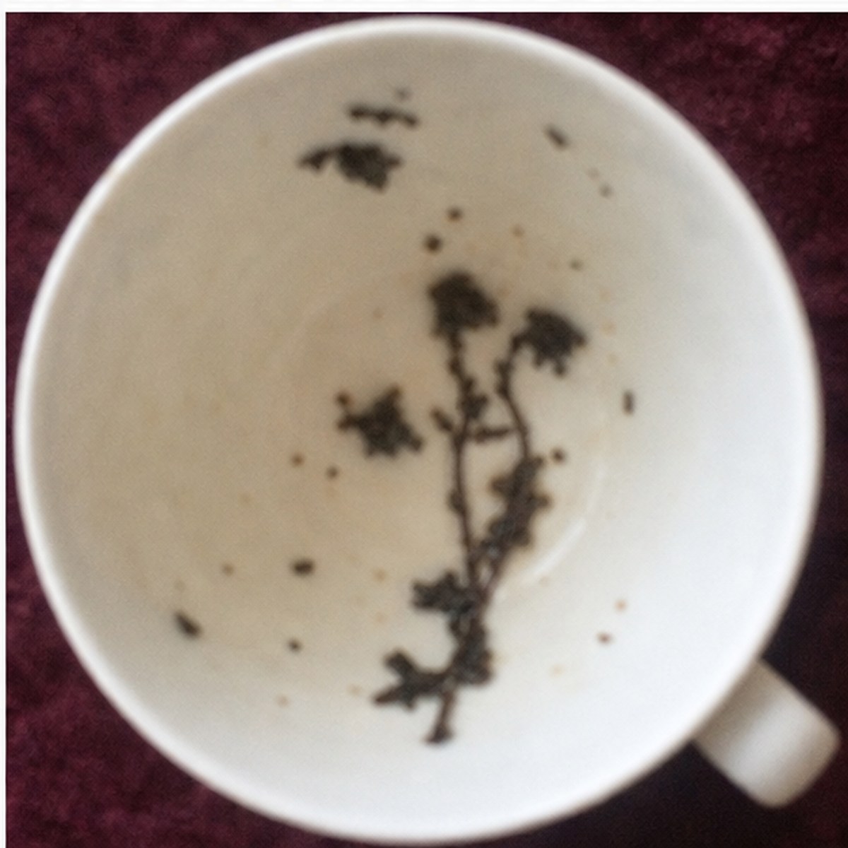 Campanulas tea leaves cup variation three
