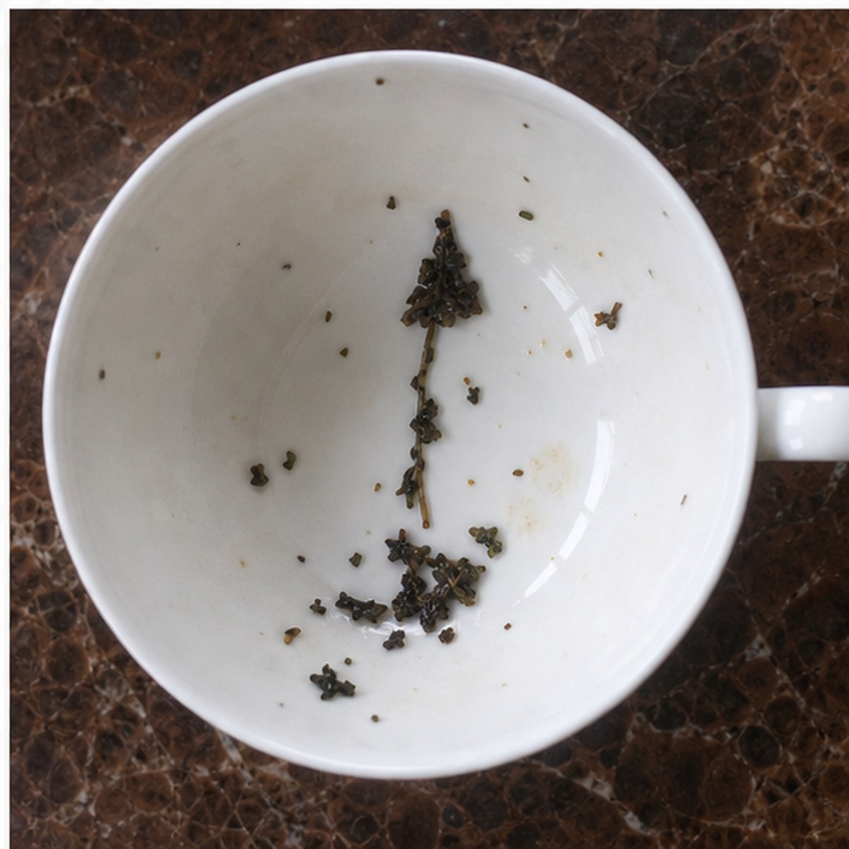 Candle Extinguisher tea leaves cup variation three