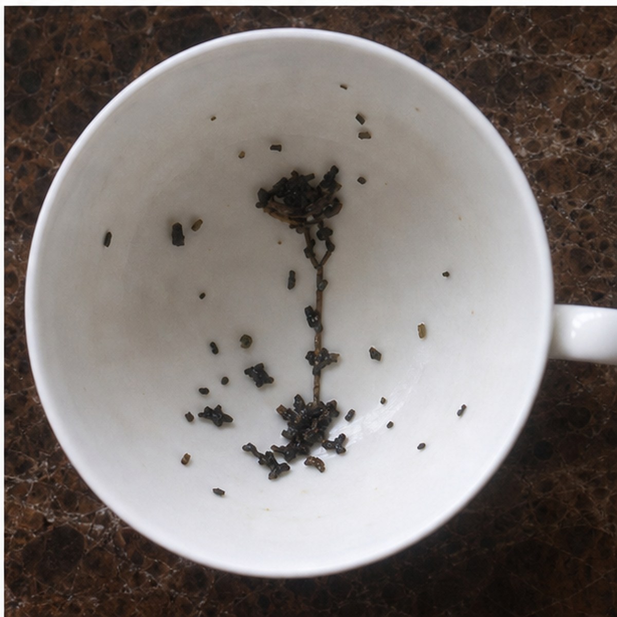 Candlestick tea leaves cup variation three