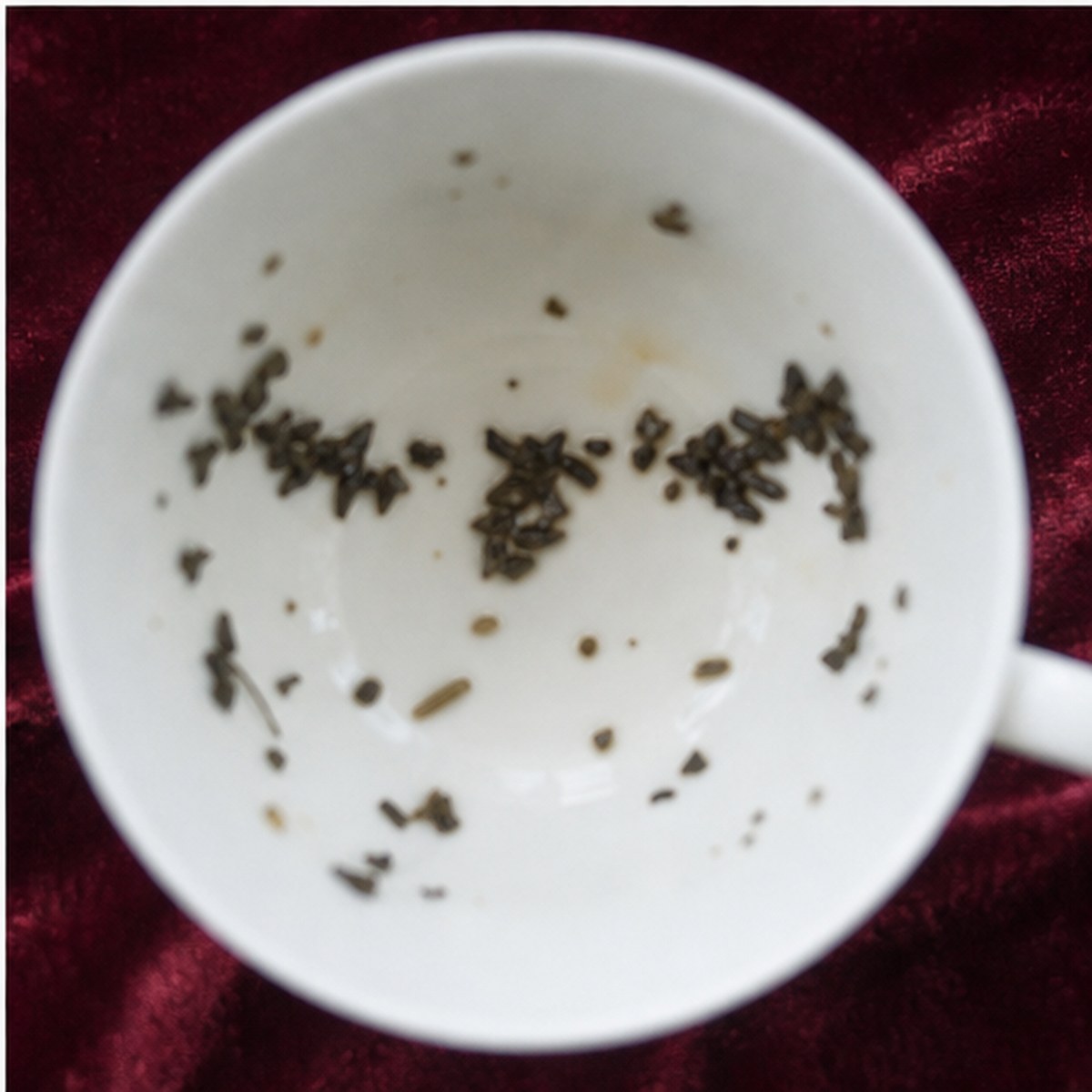 Canopy tea leaves cup variation three