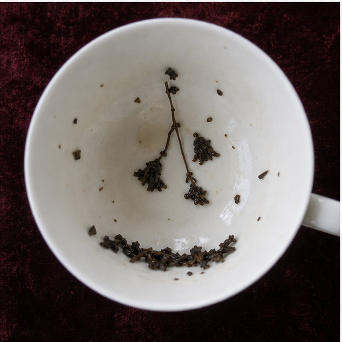 Canterbury Bells tea leaves cup variation two
