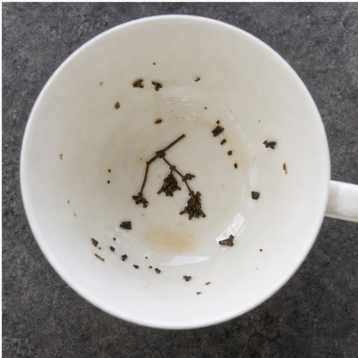 Canterbury Bells tea leaves cup variation three