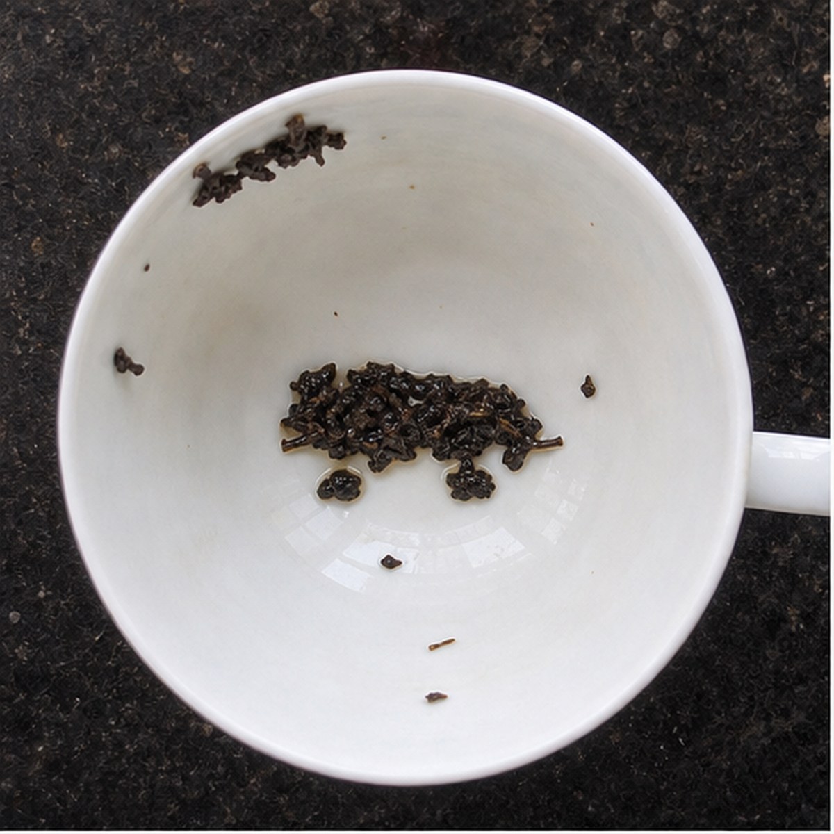 Caravan tea leaf reading cup example