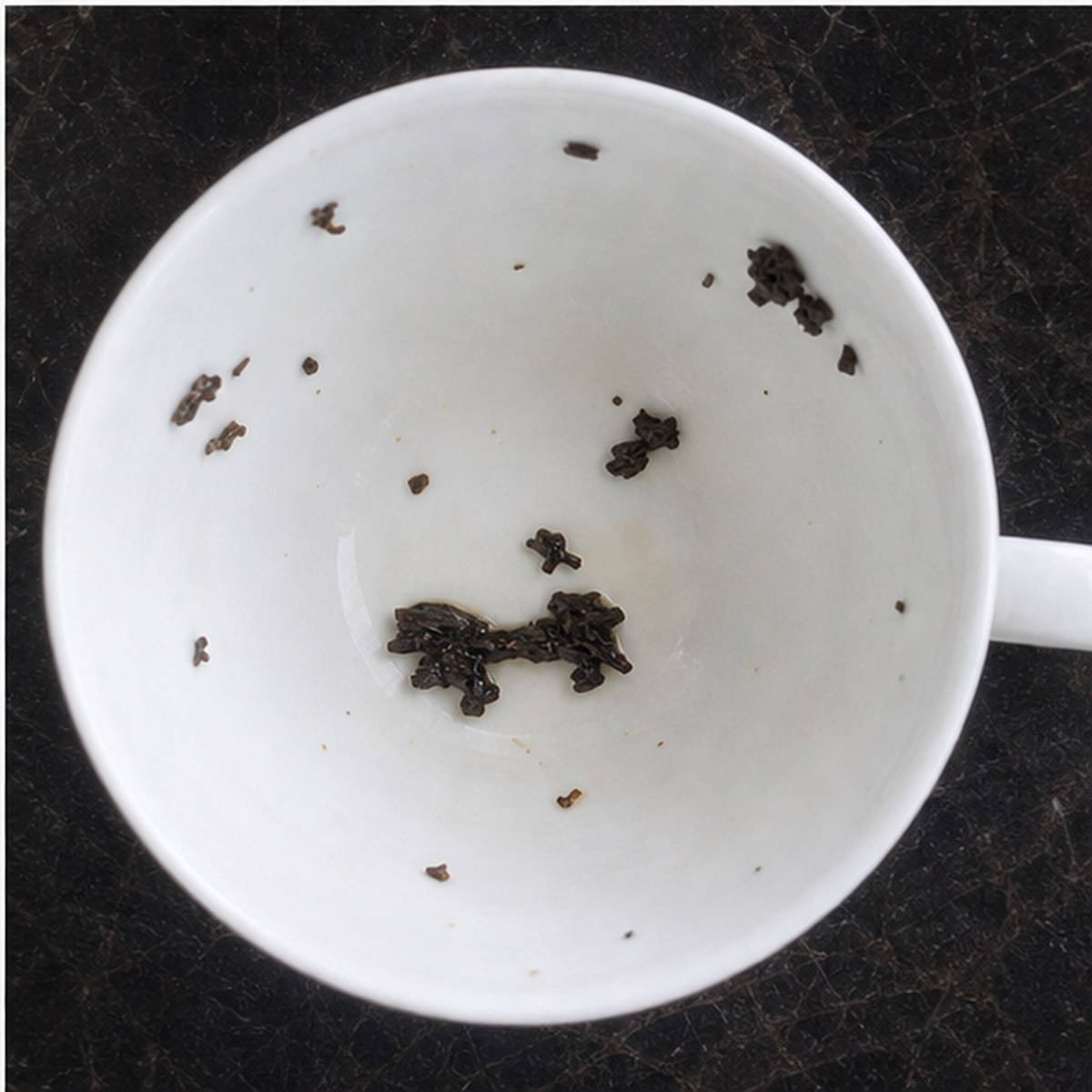 Caravan tea leaves cup variation three
