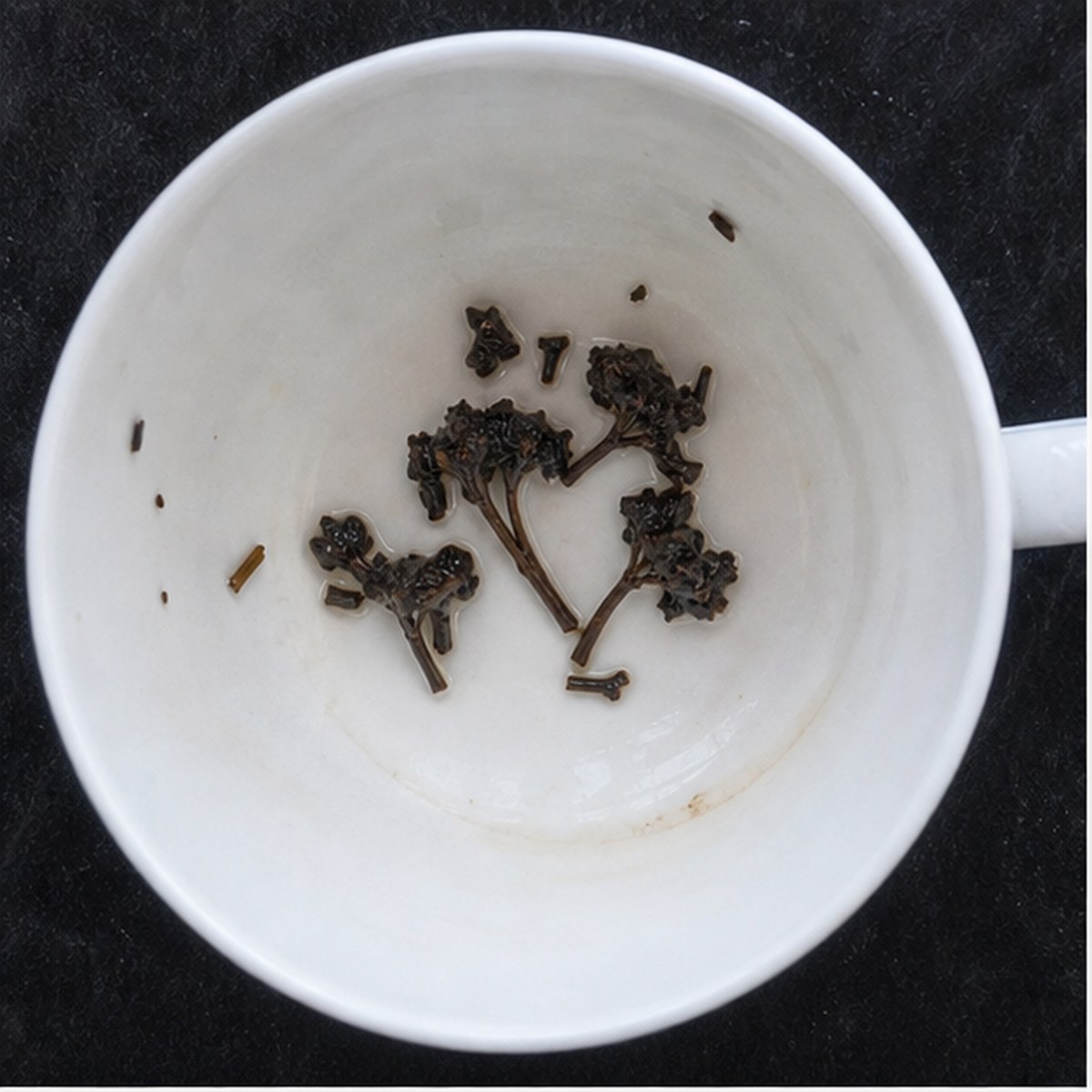Carnations tea leaf reading cup example