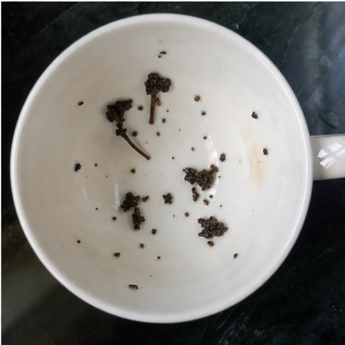 Carnations tea leaves cup variation three