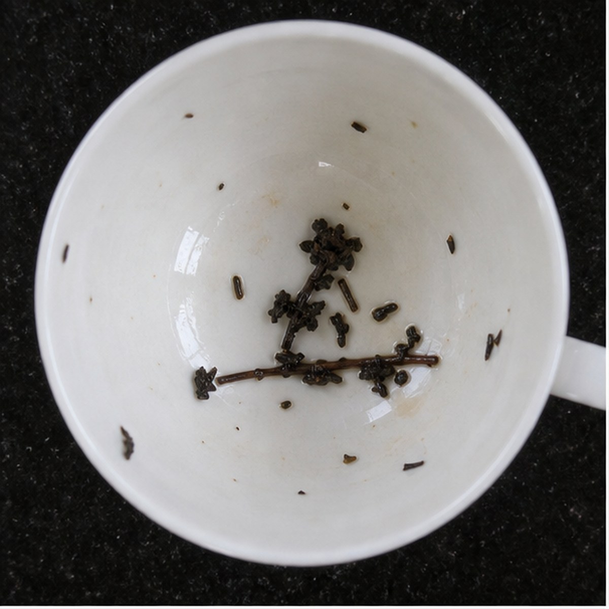 Carpenter At Work tea leaf reading cup example